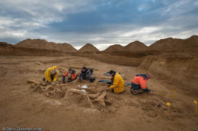 D&eacute;gagement des ossements du mammouth, Changis-sur-Marne (Seine-et-Marne), 2012.