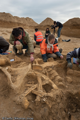 D&eacute;gagement des ossements du mammouth &agrave; Changis-sur-Marne (Seine-et-Marne), 2012.