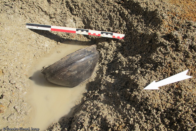 Écuelle basse entière découverte dans un fossé de l'enclos principal de la ferme gauloise de Saint-Sauveur-des-Landes (Ille-et-Vilaine), 2012.Probablement attribuable au IIe s. avant notre ère, il doit sa parfaite conservation au scellement du fossé par des sédiments argileux. 