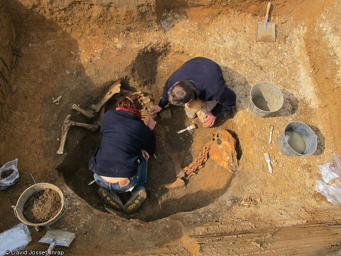 Dégagement d'un cheval dans un silo du IVe s. avant notre ère à Ymonville (Eure-et-Loir), 2010.