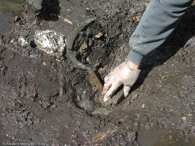 Faucille en cours de dégagement, seconde moitié du XIe s., Pineuilh (Gironde), 2003.   