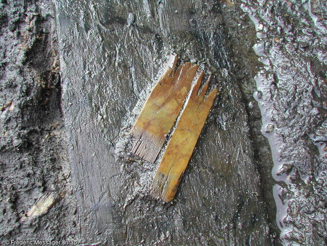 Peigne en buis, seconde moitié du XIe s., Pineuilh (Gironde), 2003.