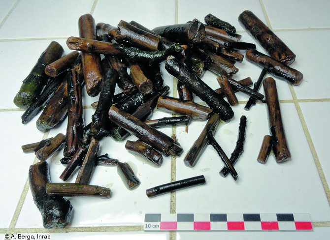Une partie des branchages arch&eacute;ologiques issus du puits 2173 du site des Robailles &agrave; Chanteloup-en-Brie (Seine-et-Marne), 2008.   Photo publi&eacute;e dans le num&eacute;ro 34 de la revue de l'Inrap&nbsp;Arch&eacute;opages.