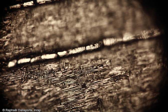 Rencontre avec l'anthracologue Hélène Seignac. Vue de détail au microscope d'un charbon de bois.