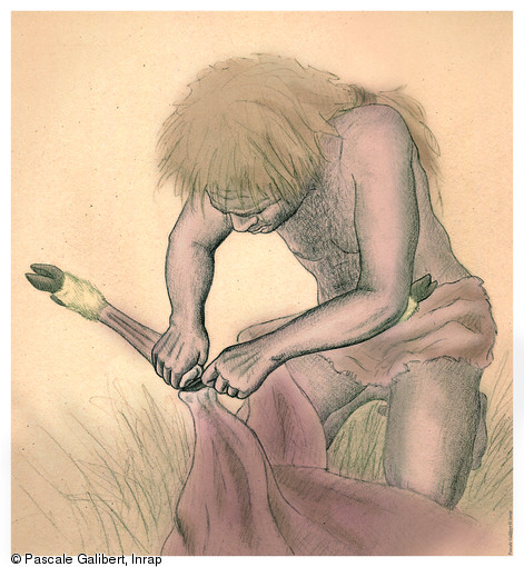 D&eacute;sarticulation d'une patte de cervid&eacute; &agrave; l'aide d'un outil en silex