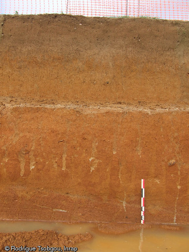 Coupe stratigraphique réalisée sur le site moustérien de Château-Gaillard - la Mercerie (Sarthe), 2012.