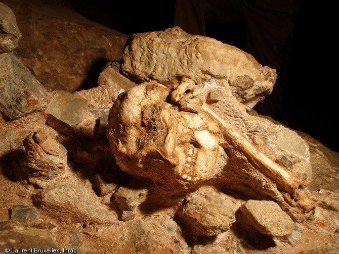 Fossile de Little Foot, grotte de Silberberg &agrave; Sterkfontein (Afrique du Sud). Peut-&ecirc;tre poursuivi par un pr&eacute;dateur, cet australopith&egrave;que a fait une chute fatale de plus de vingt m&egrave;tres, son corps roulant sur un talus d&rsquo;&eacute;boulis, avant de s&rsquo;immobiliser, un bras tendu au dessus de sa t&ecirc;te, l&rsquo;autre roul&eacute; contre lui. Au fil du temps, sa d&eacute;pouille a &eacute;t&eacute; recouverte par une accumulation de s&eacute;diments et de cailloutis, sur plus de dix m&egrave;tres d&rsquo;&eacute;paisseur. Il serait un quasi contemporain de Lucy.