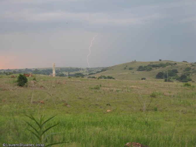 Les grottes de Sterkfontein (Afrique du Sud), dans la province du Gauteng, font partie d&rsquo;une zone inscrite par l&rsquo;Unesco au patrimoine mondial depuis 1999 sous le nom de &laquo; Berceau de l&rsquo;Humanit&eacute; &raquo;.&nbsp;