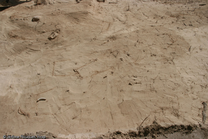 Plage des Raisins clairs à Saint-François (Guadeloupe), 2014.Ce cimetière est connu depuis plusieurs années en raison de l’apparition régulière d’ossements humains et de clous de cercueil. Dans les années 1990, la découverte d’un collier de servitude associé à un crâne avait évoqué la présence d’un cimetière d’esclaves. 