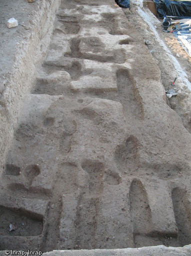 Traces agraires li&eacute;es &agrave; l'exploitation de la vigne &agrave; partir du IVe&nbsp;s. avant notre &egrave;re, boulevard Charles N&eacute;d&eacute;lec, Marseille, 2007.Trois niveaux de ce type ont &eacute;t&eacute; d&eacute;couverts sur le site : il s'agit des plus anciens vignobles d&eacute;couverts en France.&nbsp;