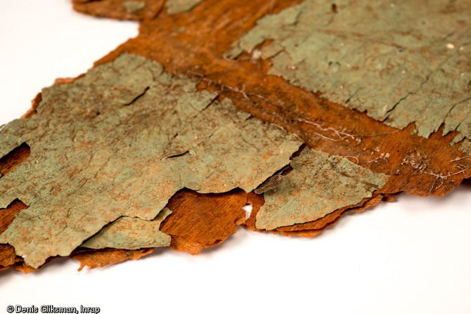 Toile peinte en vert, typique de l'int&eacute;rieur du planeur Horsa, fix&eacute;e sur une fibre de bois. Datant du jour J de la Bataille de Normandie (nuit du 5 au 6 juin 1944)et d&eacute;couverte dans un trou d'homme &agrave; Ranville (Calvados), 2009. 