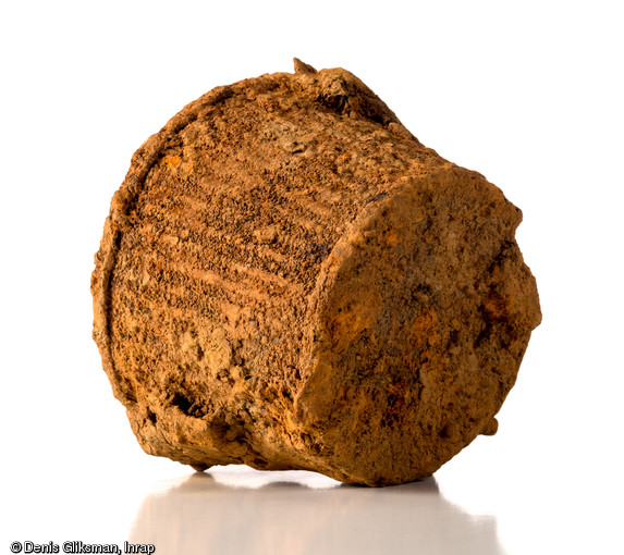 Vue inf&eacute;rieure d'un chargeur  Gurttrommel  (chargeur tambour) pour mitrailleuse allemande du type  Machinengewehr 34 et 42  (d. 11 cm). Sa capacit&eacute; &eacute;tait de 50 cartouches et se trouvait attenant &agrave; la mitrailleuse pendant le tir. Une poign&eacute;e de transport situ&eacute;e sur la partie haute permettait sa manipulation. La ville de Tilly-sur-Seulles, fut le th&eacute;&acirc;tre de violents combats,&nbsp; pendant l'op&eacute;ration Perch men&eacute;e du 7 au 15 juin 1944 par les troupes du XXXe Corps britannique contre la  Panzer Lehr Division  allemande.&nbsp; D&eacute;couvert dans une fosse &agrave; Tilly-sur-Seulles (Calvados), 2014. 