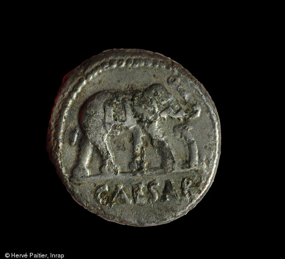 Denier de C&eacute;sar &agrave; l'&eacute;l&eacute;phant, frapp&eacute; entre 49 et 48 avant notre &egrave;re, mis &agrave; jour au Mont Castel &agrave; Port-en-Bessin (Calvados), 2014.