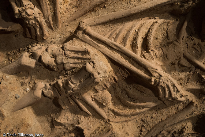 Détail d’individus se superposant provenant d'une sépulture mise au jour dans cave d'un supermarché parisien, 2015.  Ce supermarché occupe l'ancien immeuble Félix Potin, construit à l'emplacement du cimetière de l’hôpital de la Trinité, fondé au XIIe siècle et détruit à la fin du XVIIIe siècle. Neuf sépultures ont été découvertes. 